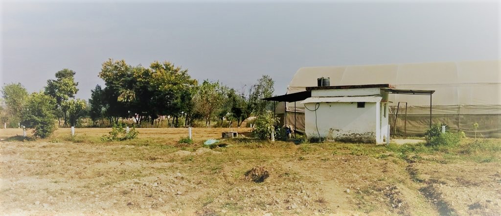 a farm stead in India