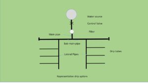 Steps to Drip irrigation system design - MyKnowledgeBase.in