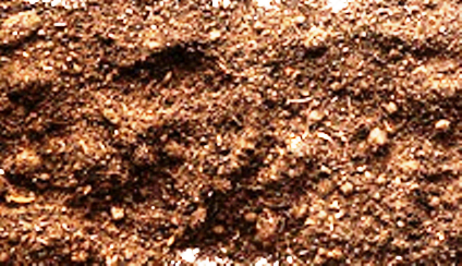 vermicompost ready for use